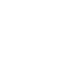 Lungs L12-4