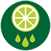 juicer-icon3