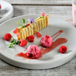 Es Krim Yoghurt Raspberry | Philips